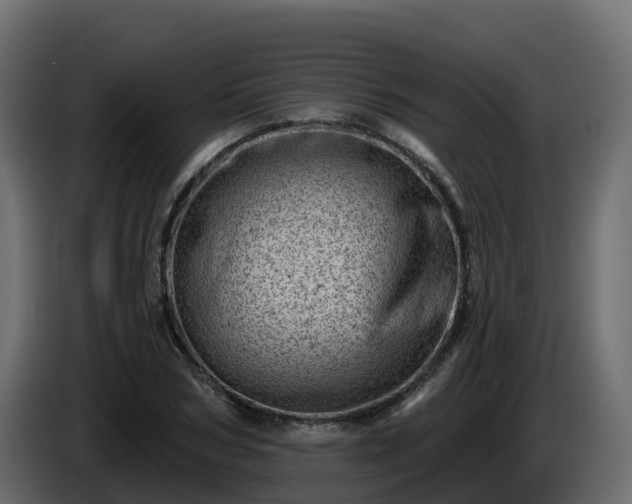 X0000085800978200703231326