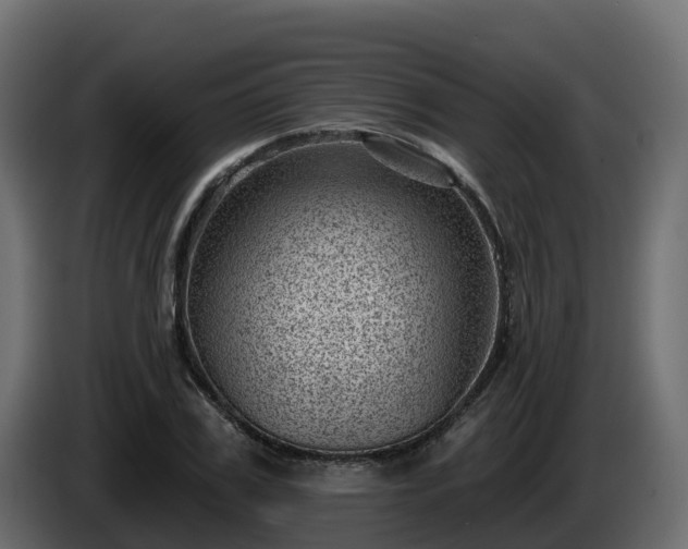 X0000085800979200703231326