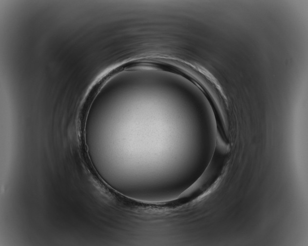 X0000085800981200703231326