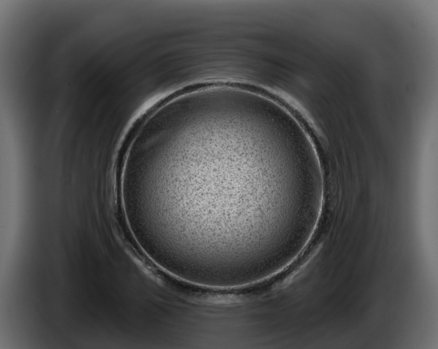X0000085800982200703231326