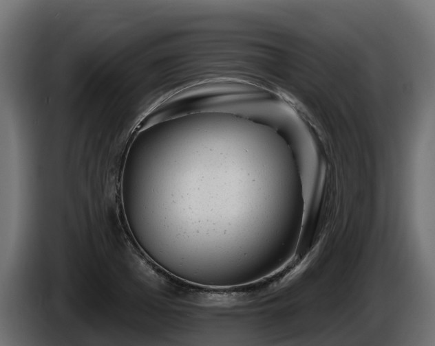 X0000085800985200703231326