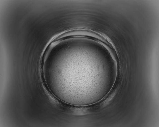 X0000085800989200703231326