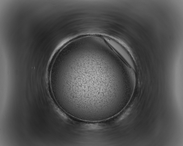 X0000085800990200703231326