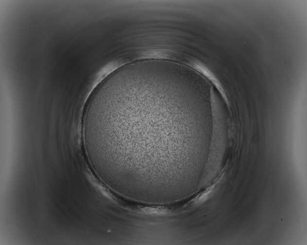 X0000085800994200703231326