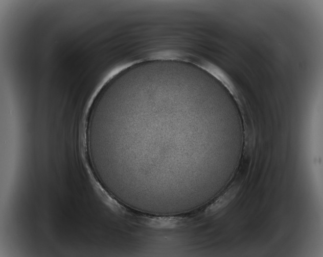 X0000085801000200703231326
