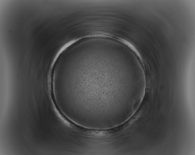 X0000085801003200703231326