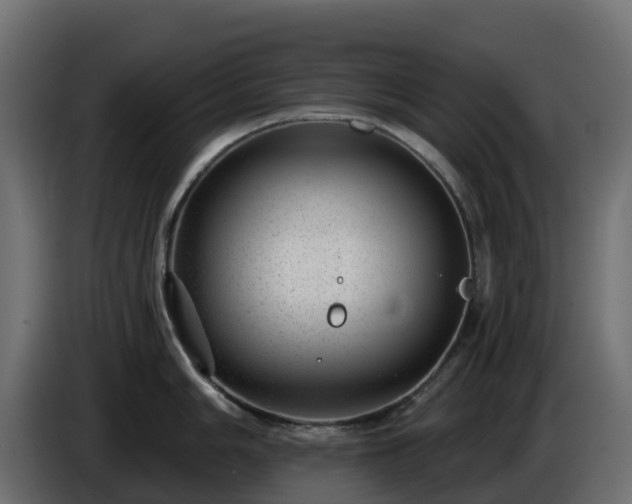 X0000085801006200703231326