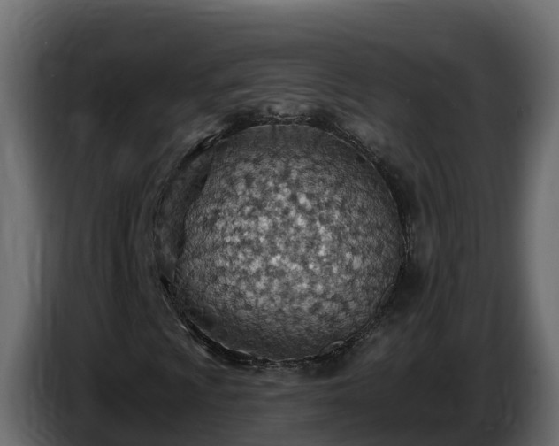 X0000085801009200703231325