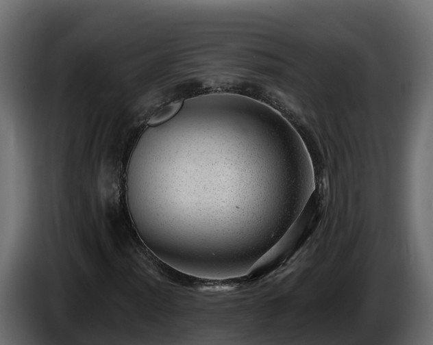 X0000085801012200703231325