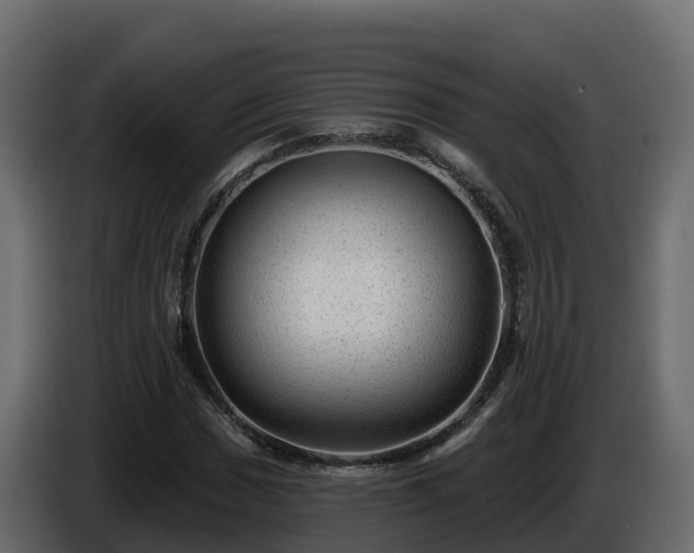 X0000085801017200703231325