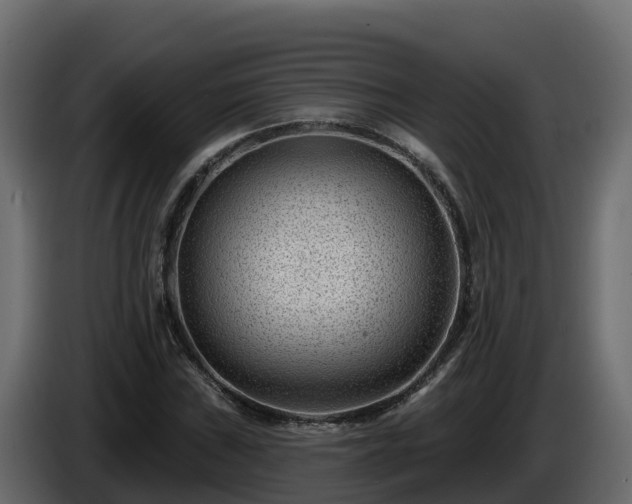 X0000085801019200703231325