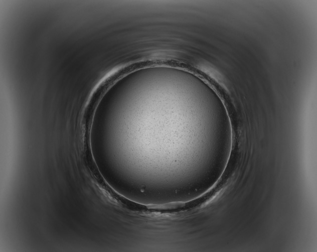 X0000085801021200703231325