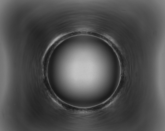 X0000085801022200703231325
