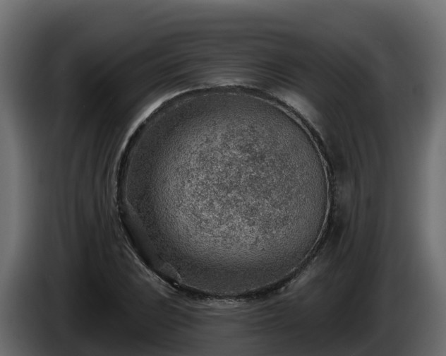 X0000085801023200703231325