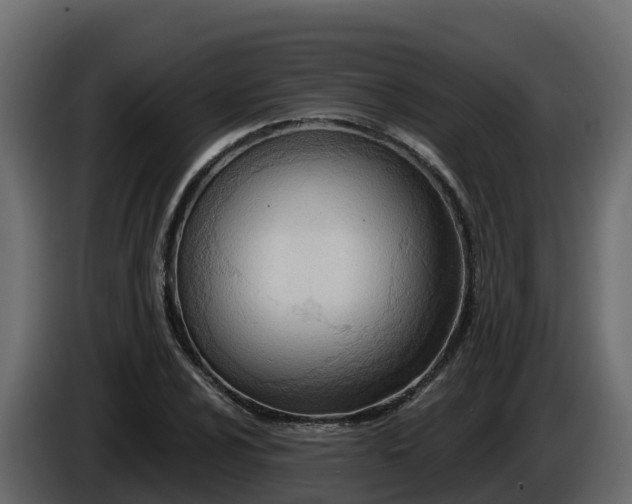X0000085801024200703231325
