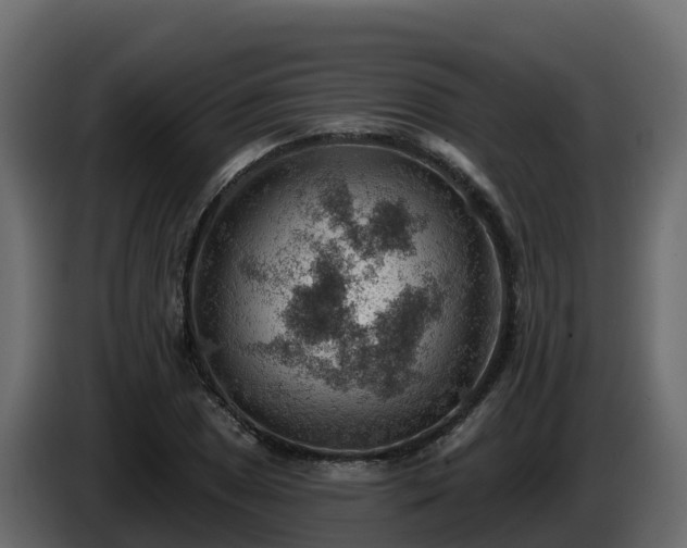 X0000085801025200703231325