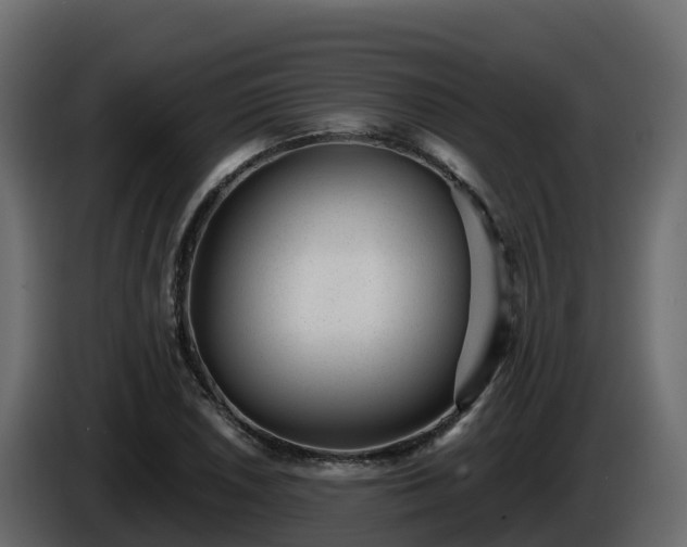 X0000085801026200703231325