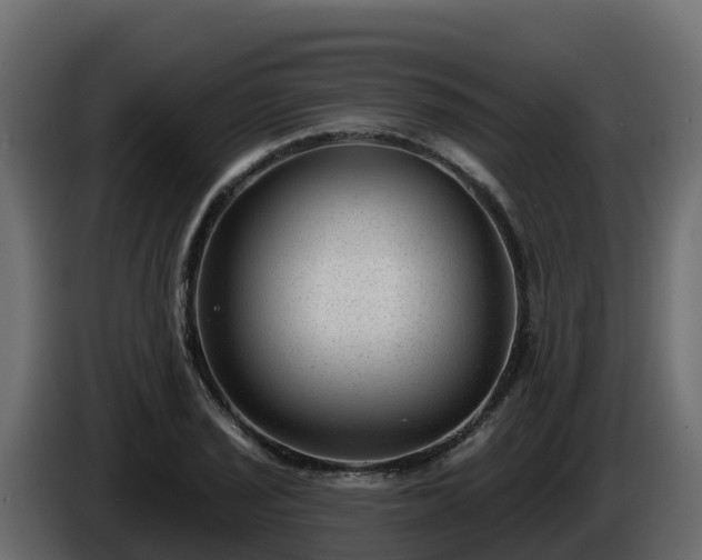 X0000085801029200703231326