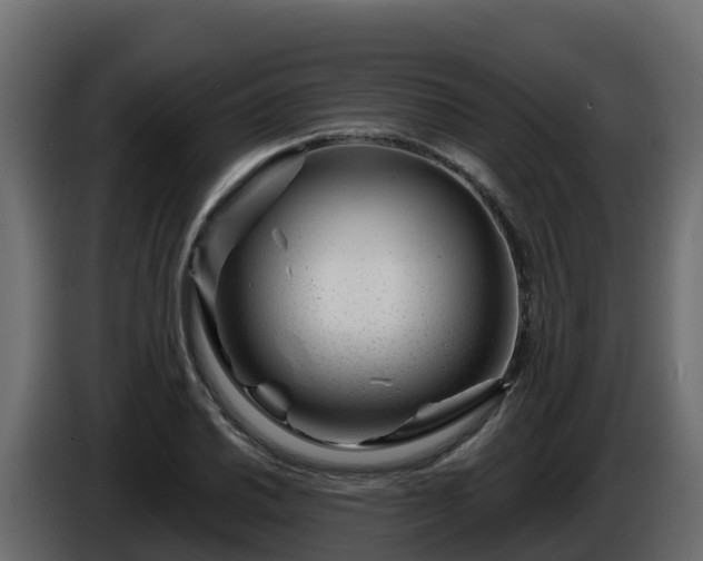 X0000085801030200703231326