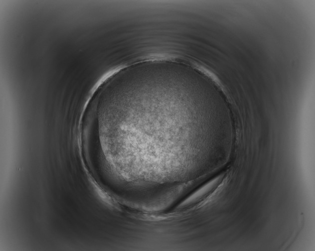 X0000085801034200703231326