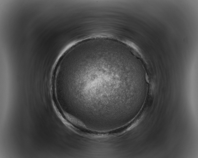 X0000085801038200703231326