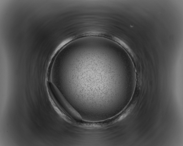 X0000085801042200703231326