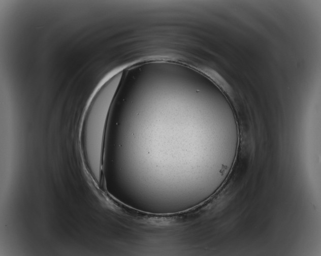 X0000085801044200703231326