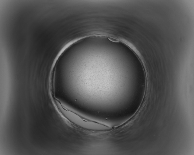 X0000085801056200703231326