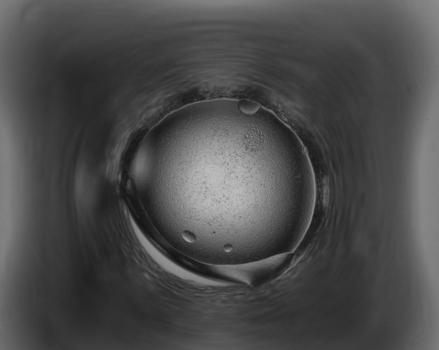 X0000085801059200703231325