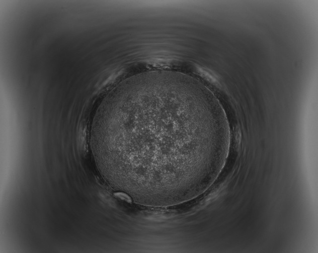 X0000085801060200703231325