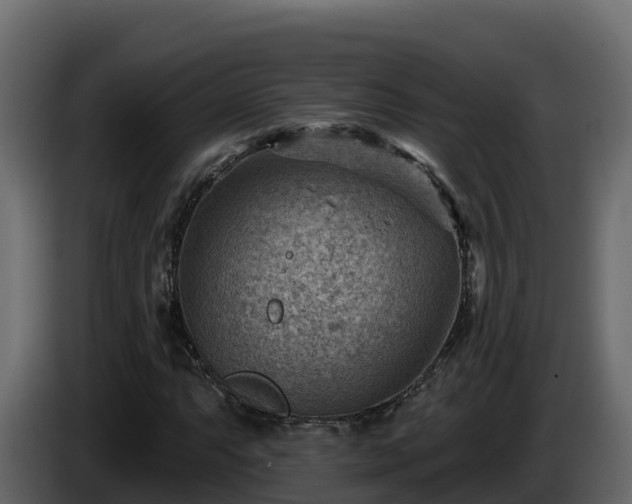 X0000085801063200703231325