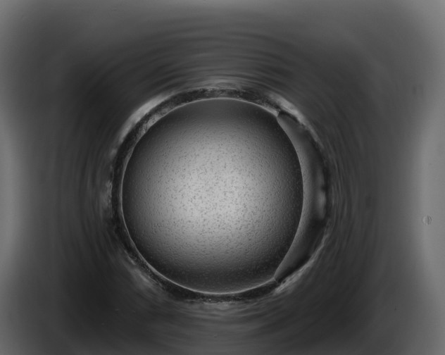 X0000085801066200703231325