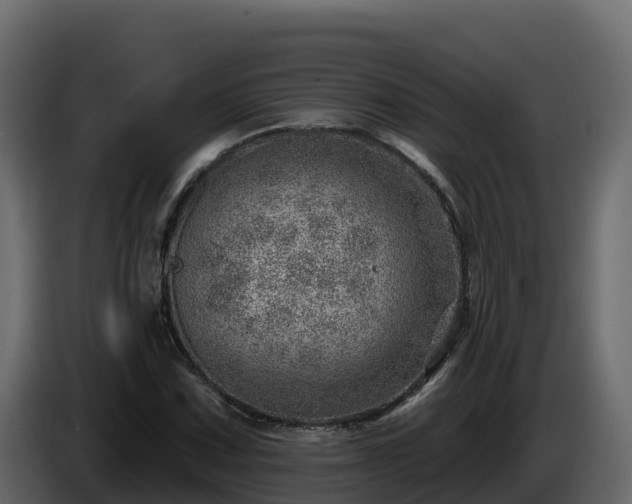 X0000085801067200703231325