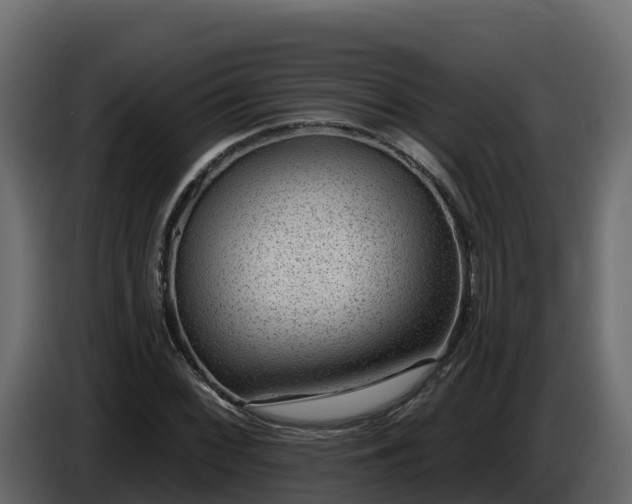 X0000085801068200703231325