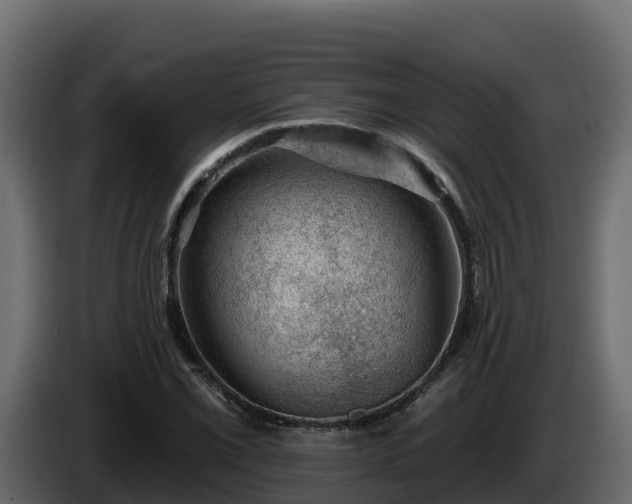 X0000085801069200703231325