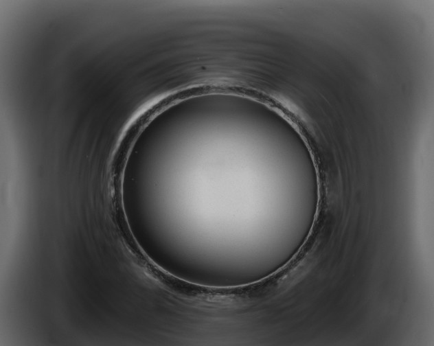 X0000085801070200703231325