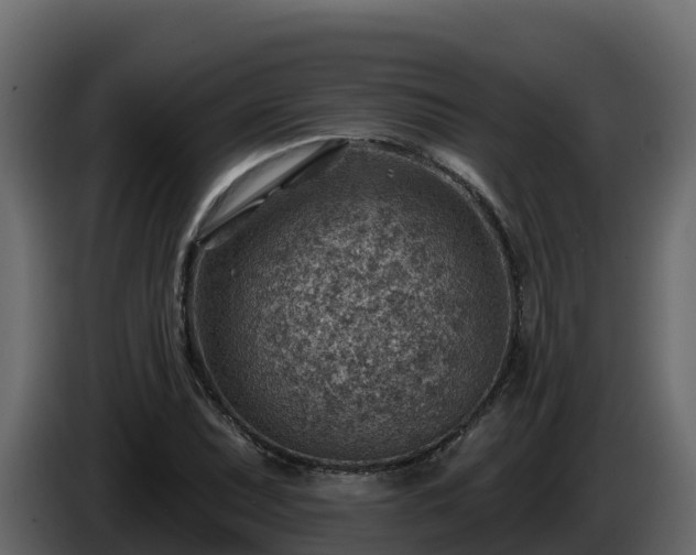 X0000085801071200703231325