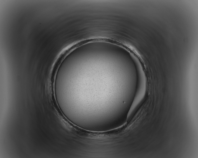 X0000085801072200703231325