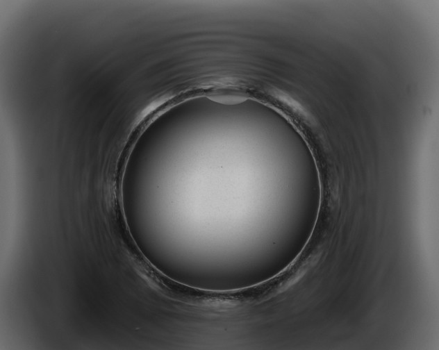 X0000085801073200703231325