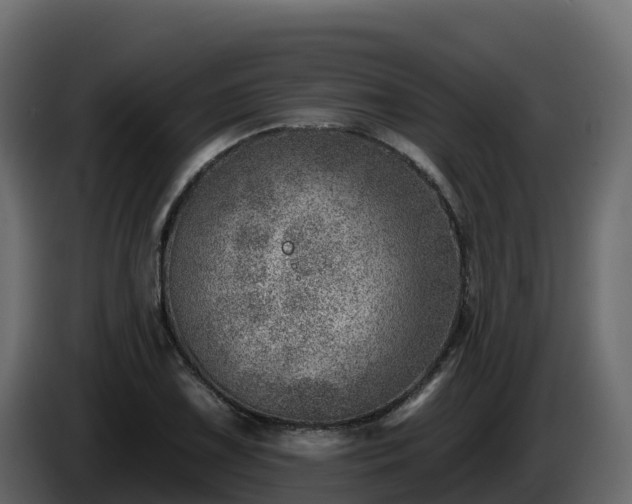 X0000085801075200703231325