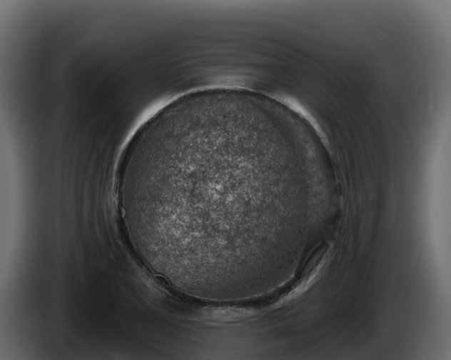 X0000085801077200703231325