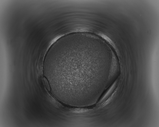 X0000085801081200703231325