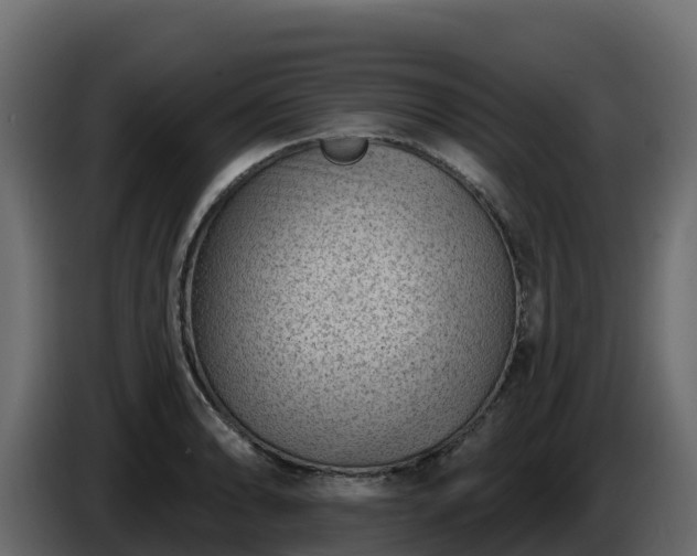 X0000085801086200703231325