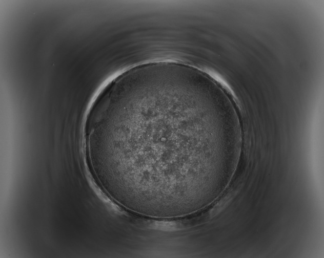 X0000085801088200703231325