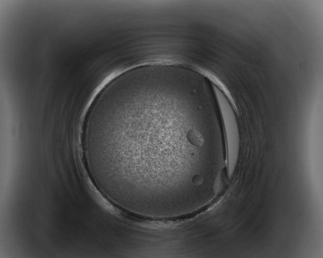 X0000085801091200703231325