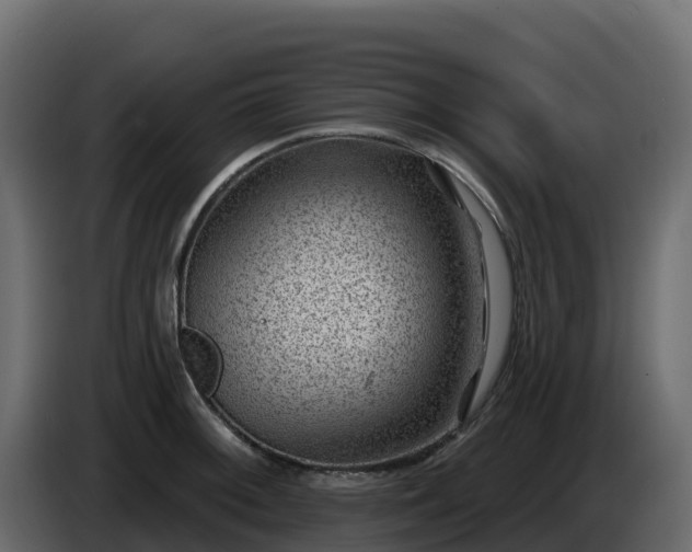 X0000085801092200703231325