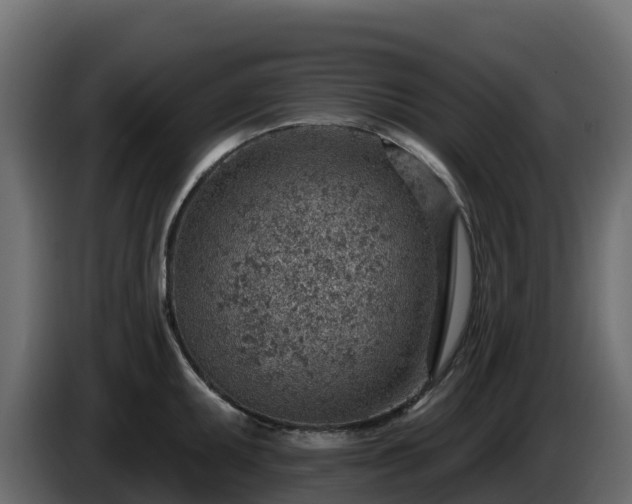 X0000085801095200703231325