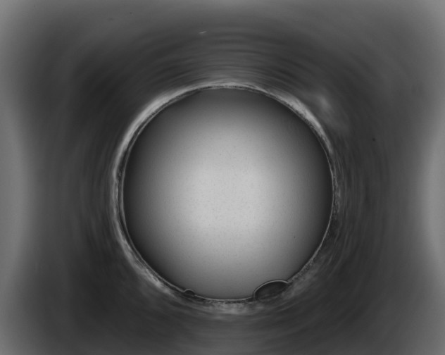 X0000085801096200703231325