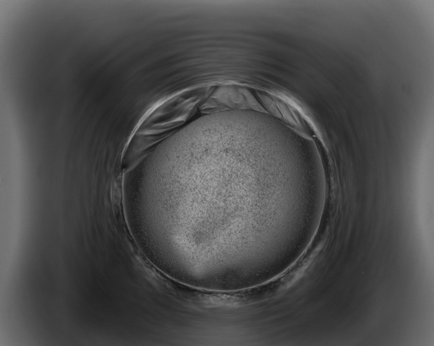 X0000085801097200703231325