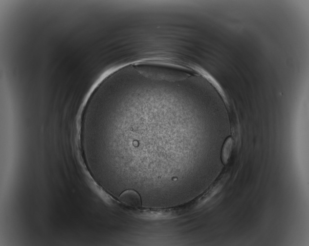 X0000085801099200703231325